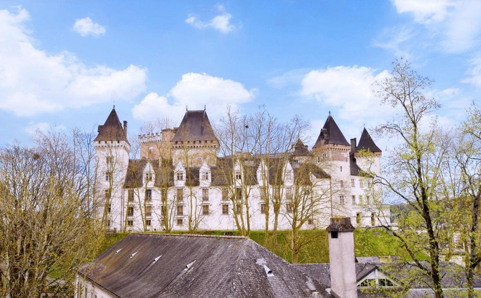 La Vue Royale - Face Au Chateau - Wifi - 4 Personnes Pau Eksteriør billede